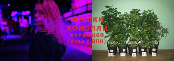 дживик Надым