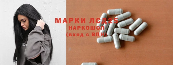 дживик Надым