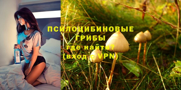 дживик Надым