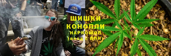 дживик Надым