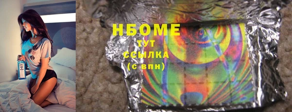дживик Надым