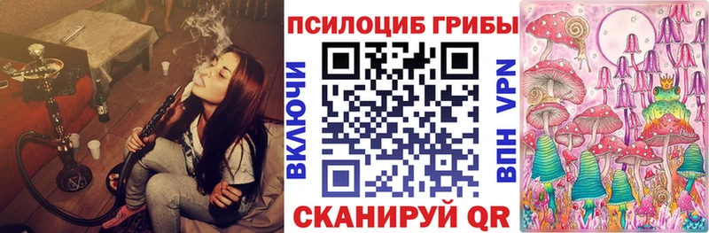 Галлюциногенные грибы мухоморы  darknet телеграм  Калтан 